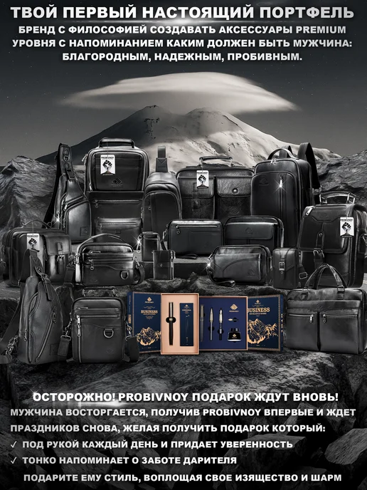 PROBIVNOY ix100 Портфель черный, натуральная кожа, черный, фото 2