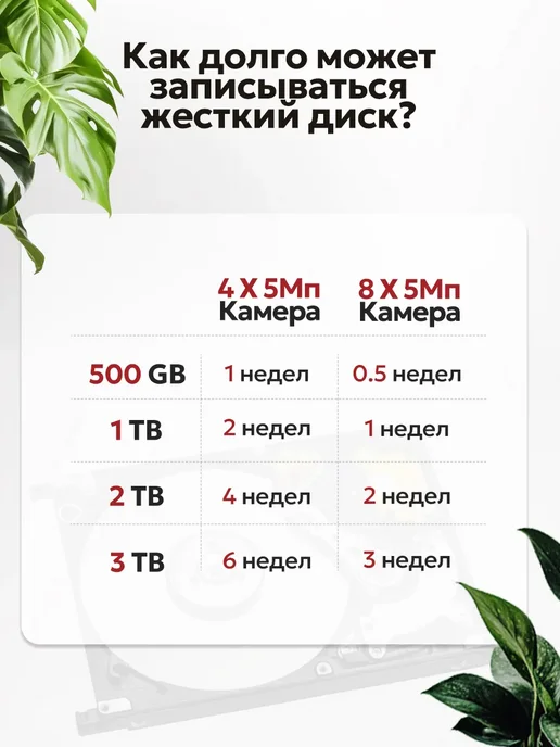 EXPGlobal Комплект видеонаблюдения уличный 6 IP камеры 5Мп POE, белый, фото 8
