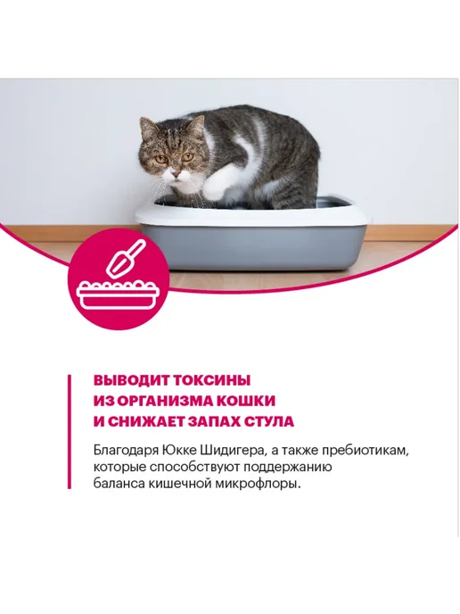 Сухой корм KARMY Кошек для собак, взрослые, курица, 0,4 кг, фото 4
