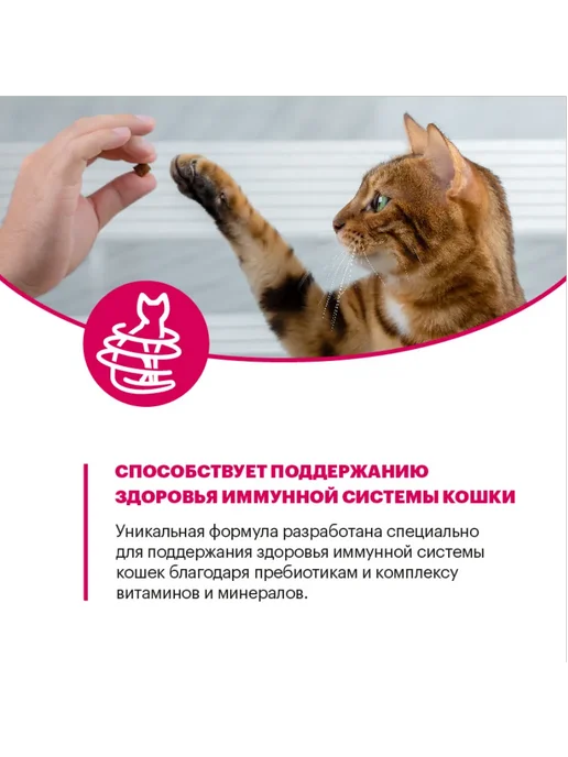 Сухой корм KARMY Кошек для собак, взрослые, курица, 0,4 кг, фото 5