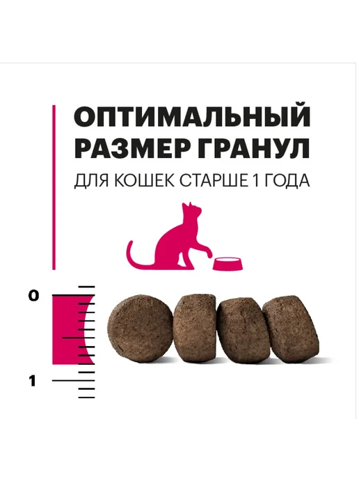 Сухой корм KARMY Кошек для собак, взрослые, курица, 0,4 кг, фото 7