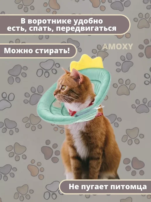 Защитный воротник для животных кошек и собак ветеринарный, зеленый, фото 3
