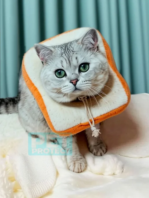 Защитный воротник для кошек и собак, белый