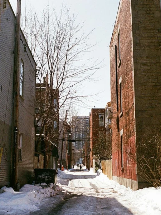 FUJIFILM Фотопленка 200 цветная 35мм 36 кадров, 400, фото 6