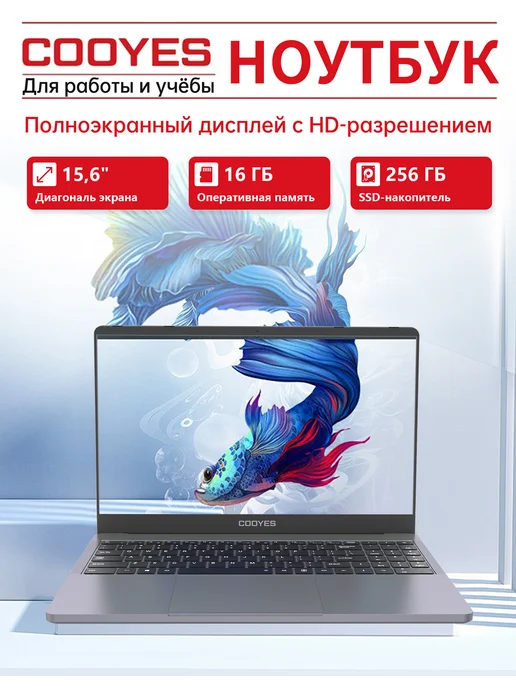 Cooyes Ноутбук для работы и учебы 15.6" N5095A 8 ГБ 256 ГБ M.2 SSD, 16 ГБ, 256 ГБ